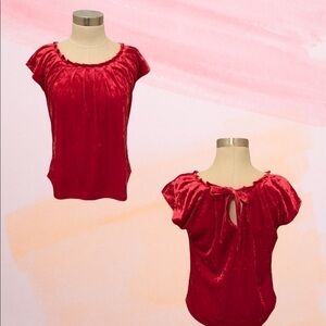 Lauren Conrad Crushed Velvet Pleated Top